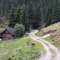 Terenbachhütte auf der Terenbachalm