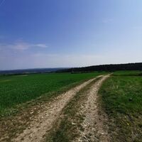 Weg nach Böttelborn
