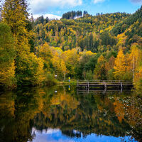 Kleiner See am U(h)rwaldpfad Rohrhardsberg