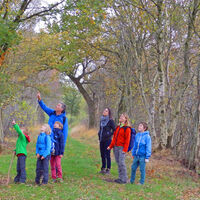 Wanderer im Wäldchen beim Rastplatz Seeholz am NORDPFAD Huvenhoopsmoor