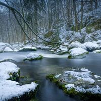 Triebtal im Winter