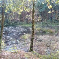 Teich vor Gränze