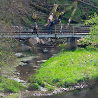 Steg über den Felsenweiher zum Tannegger Wasserfall