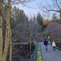 BestWeg Nuttlar