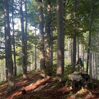 L3 Rinnerberger Trail
