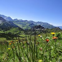Blick vom Schönberg