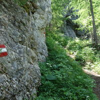 am Steig hoch zur Jagdhütte Karlalm