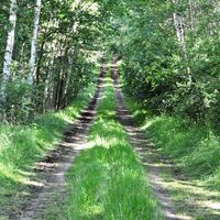 Plattenweg am "Grünen Band"