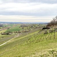 Weitblick über die Weinberge am Derdinger Horn