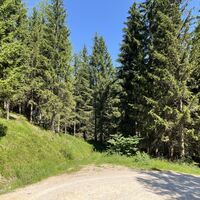 In einer Rechtskehre des Forstweges hier gradaus weiter