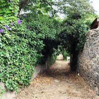 Wanderung die Ufer des Hérault