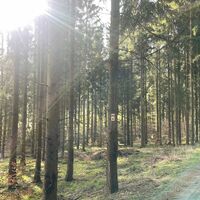 Exdorf - zur Platte