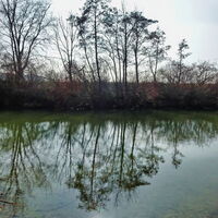 Marchfeldkanal im Gegenlicht