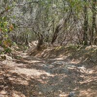 Trail zum Blutsee