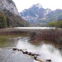 Leoboldsteinersee Nordufer
