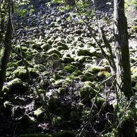 Ehemaliges Bergbaugelände als Biotop bei Lauterecken