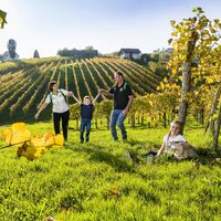 Wandern in der Weinregion rund um Klöch