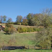 Aussicht vor Wellenried - Alte Jakobswegroute