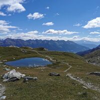 Selva - Cancian