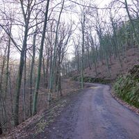 Weg zur Lauenburg