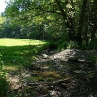 Im Tal der Wutsche