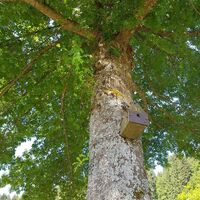 Nisthilfe im PARK