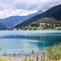 Ledrosee