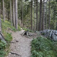 Rastplatz am Stein oder Baumstumpf (Rastbankerln gibts keine, aber viele ähnliche Sitzgelegenheiten)