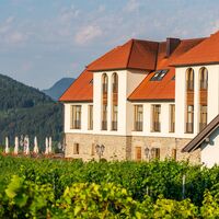 Taggenbrunn