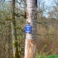 Wanderweg Logo Rund um Neroth