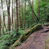 Über Stock und Stein