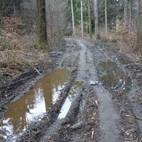 am gatschigen Rückweg