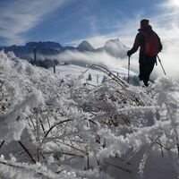 Schneeschuhtrail Obergurnigel (114)