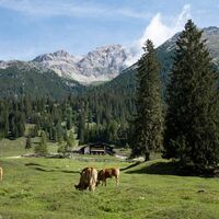 Almlandschaft im Gaistal