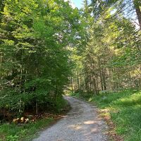 am Forstweg weiter