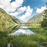 Schilfgürtel am Südufer des Schwarzensee