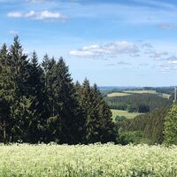 Landschaft