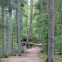 Abstecher zur Burg Waldeck