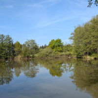 Weiher im Schutzgebiet Thimos