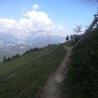 Alpiner Steig zur Mahdalm