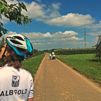 Radfahrer auf dem Radweg