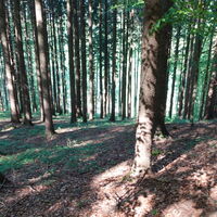 Verlängerung der Strecke Richtung Süd