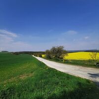 Weg nach Kottendorf