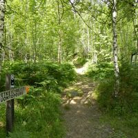 Haukkavuoren Naturpfad