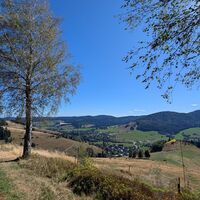 Bernau im Schwarzwald Zu den Glanzpunkten über dem Hochtal (6)