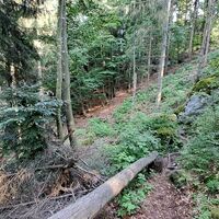 Abstieg vom Kleinen Peilstein