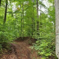 Qualitätstour Waldläufer (De 6 + LRR)