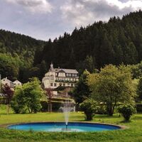 Flair Hotel Waldfrieden in Schwarzmühle