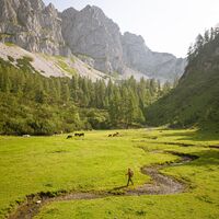 Am Schnittlauchboden