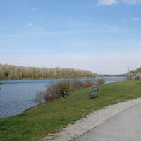 Altarm Donau